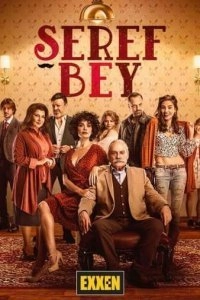 Подробнее о турецком сериале «Уважаемый господин»