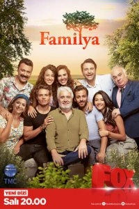 Подробнее о турецком сериале «Семьи»